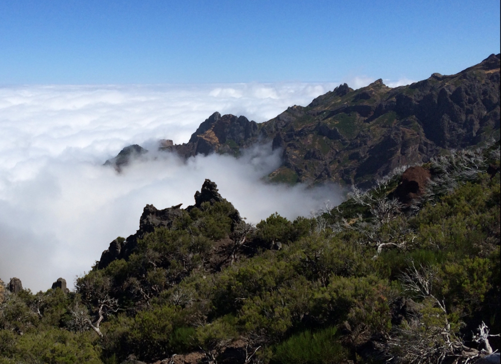 Madera - trekking na lekko Madera - trekking na lekko
