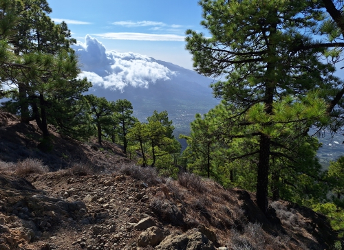 La Palma - La Isla Bonita - trekking La Palma - La Isla Bonita - trekking