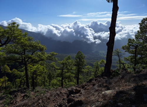 La Palma - La Isla Bonita - trekking La Palma - La Isla Bonita - trekking