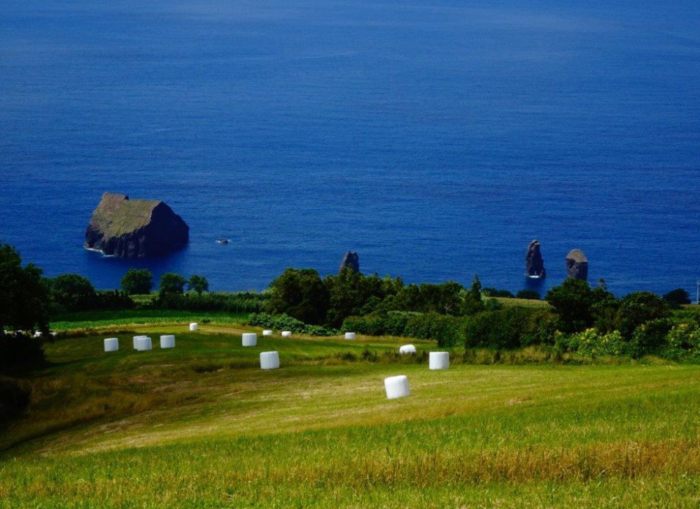 Sao MIguel-trekking-Azory10 Sao MIguel-trekking-Azory10