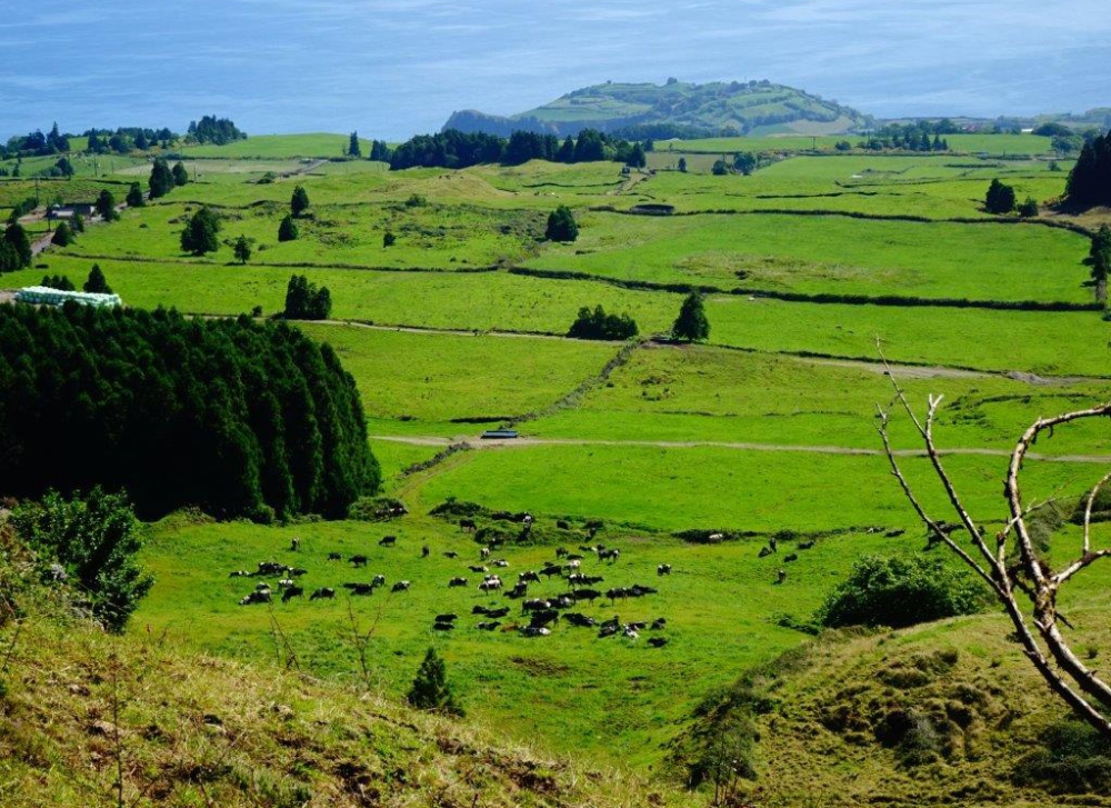 Sao MIguel-trekking-Azory Sao MIguel-trekking-Azory