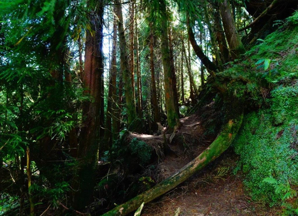 Sao MIguel-trekking-Azory3 Sao MIguel-trekking-Azory3