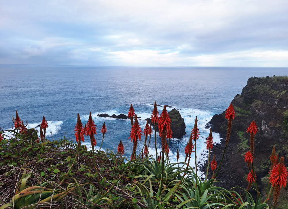 Madera-wyprawa-trekking-jesień-morze Madera-wyprawa-trekking-jesień-morze